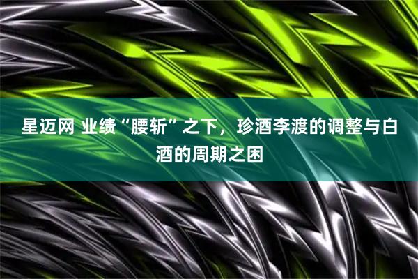 星迈网 业绩“腰斩”之下，珍酒李渡的调整与白酒的周期之困
