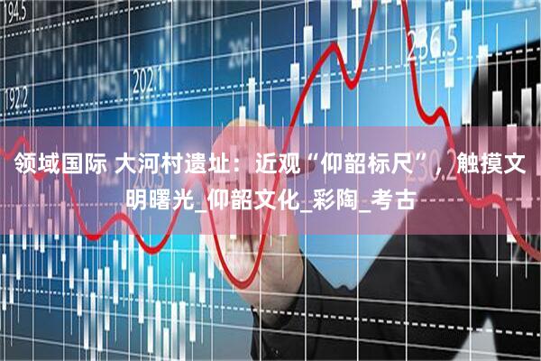领域国际 大河村遗址：近观“仰韶标尺”，触摸文明曙光_仰韶文化_彩陶_考古