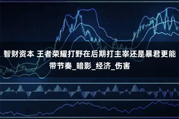 智财资本 王者荣耀打野在后期打主宰还是暴君更能带节奏_暗影_经济_伤害